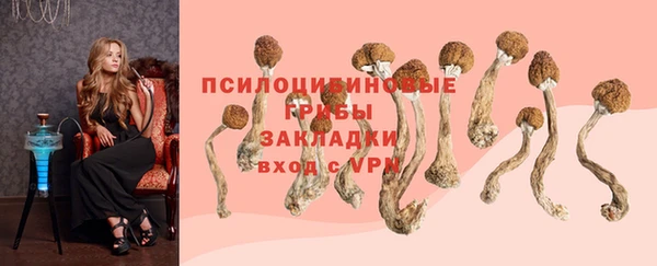 скорость mdpv Кукмор