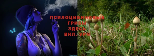марки lsd Кулебаки